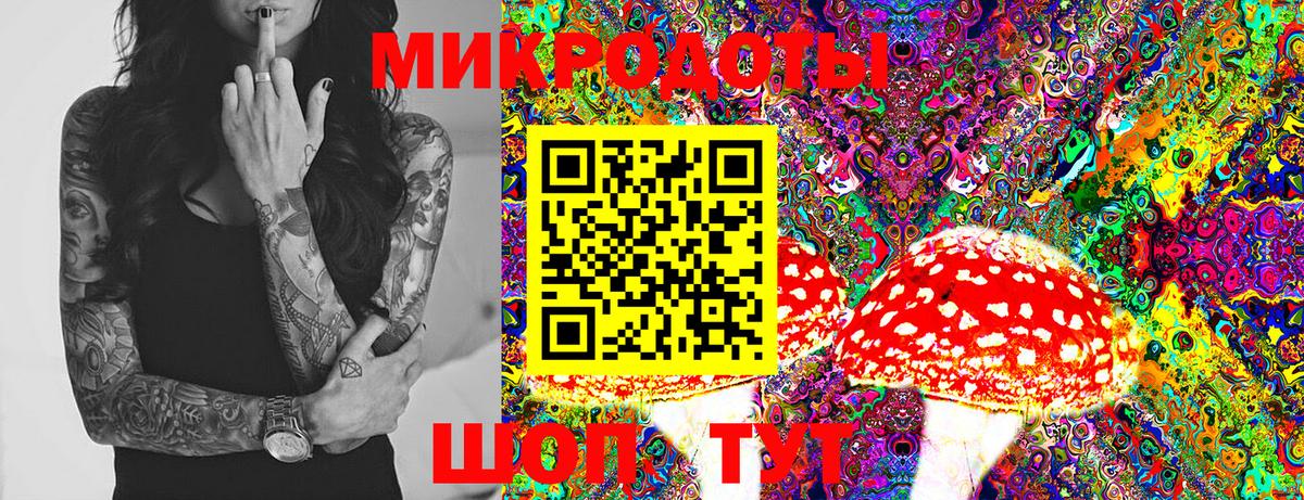 Галлюциногенные грибы Psilocybe Новый Уренгой